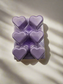 Soy Wax melts